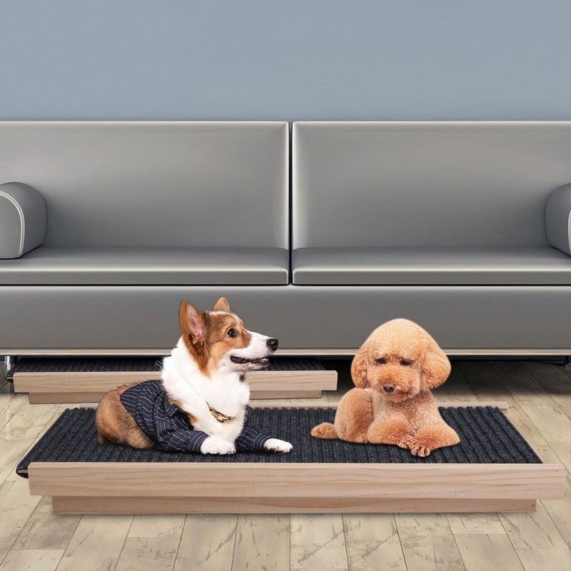 Pet Beds for Dogs & Cats | Cozy Comfort for Every Size