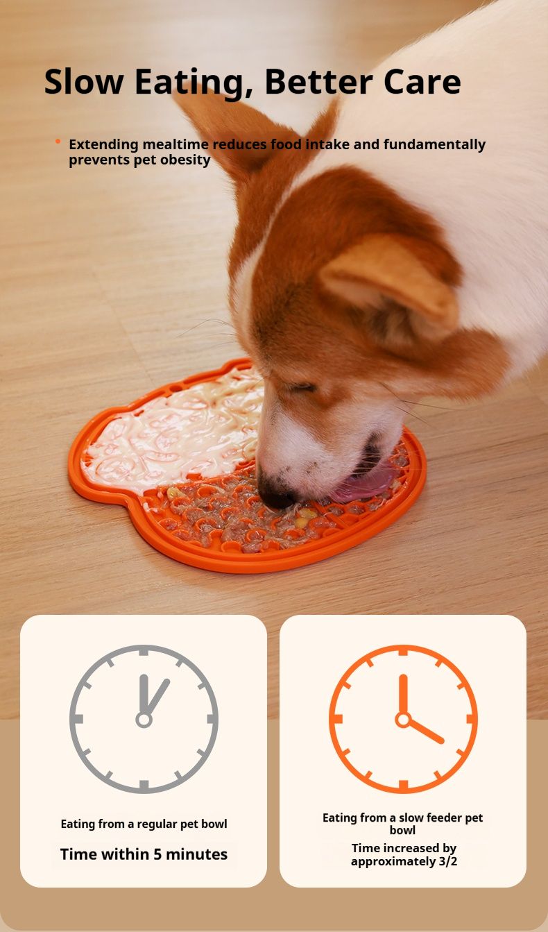 Pet Bowls, Feeders & Waterers for Easy Mealtimes