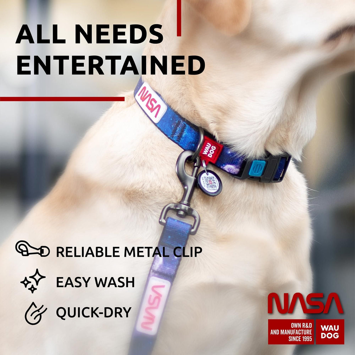 Pet Collars & Leashes for Safe, Easy Walks