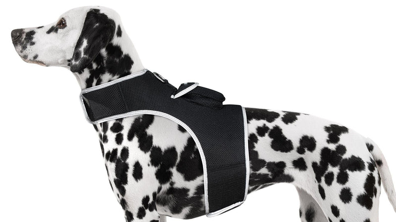 Pet Harnesses for Dogs & Cats — Safe, Secure & Comfy