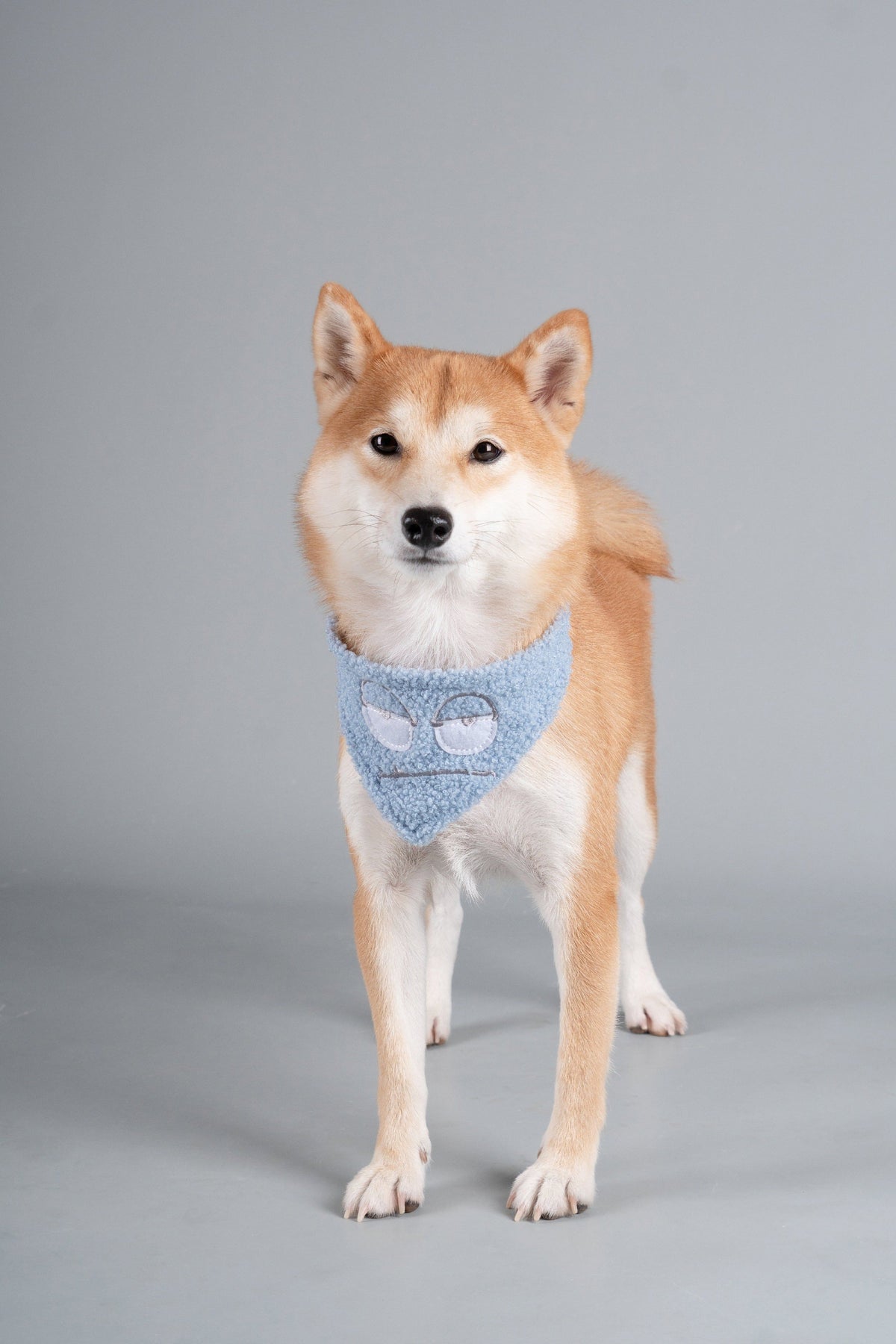 Touchdog 'Dizzy-Eyed Cyclops' Cotton Velcro Dog Bandana and Scarf