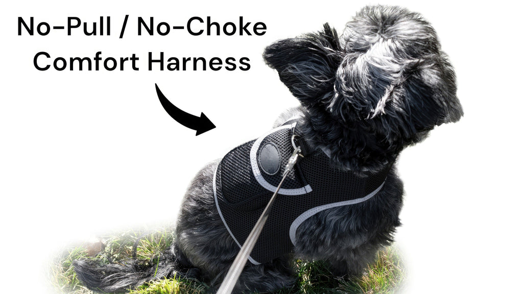 Mini Realtime GSM GPS Dog Tracker Rechargeable Pet Finder w/ SIM Slot Size:L