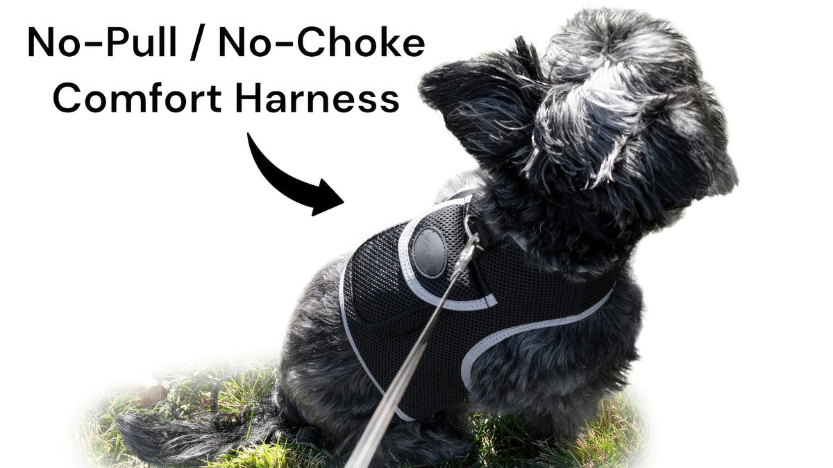 Mini Realtime GSM GPS Dog Tracker Rechargeable Pet Finder w/ SIM Slot Size:L