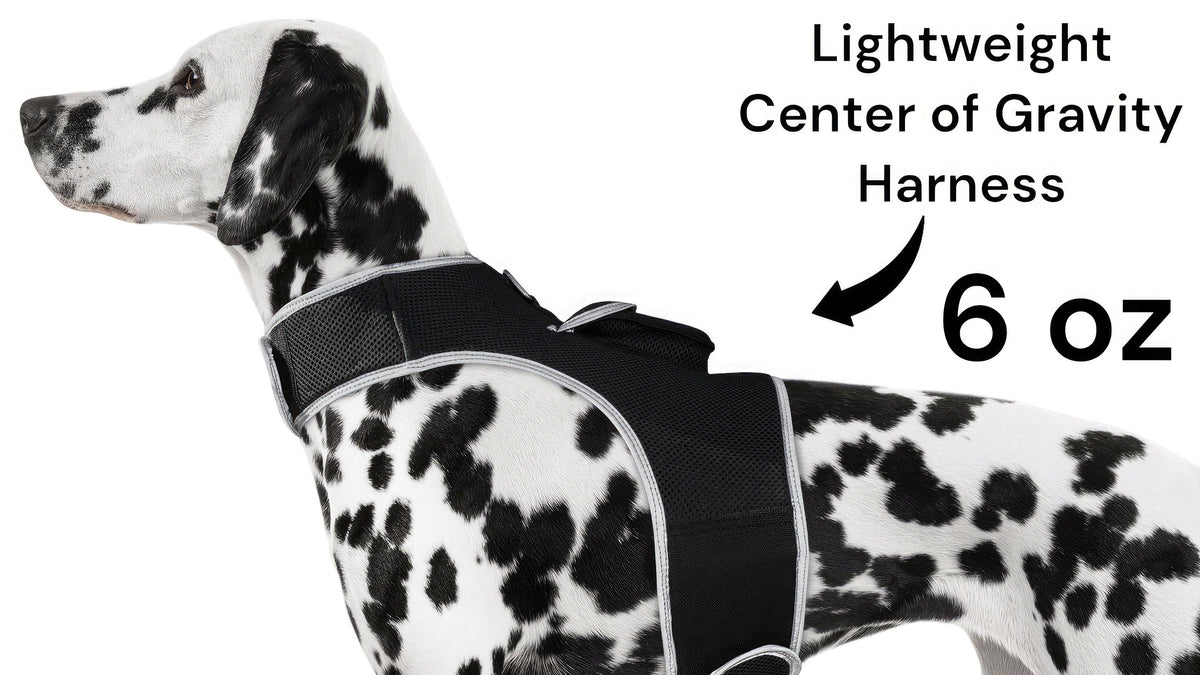 Mini Realtime GSM GPS Dog Tracker Rechargeable Pet Finder w/ SIM Slot Size:L