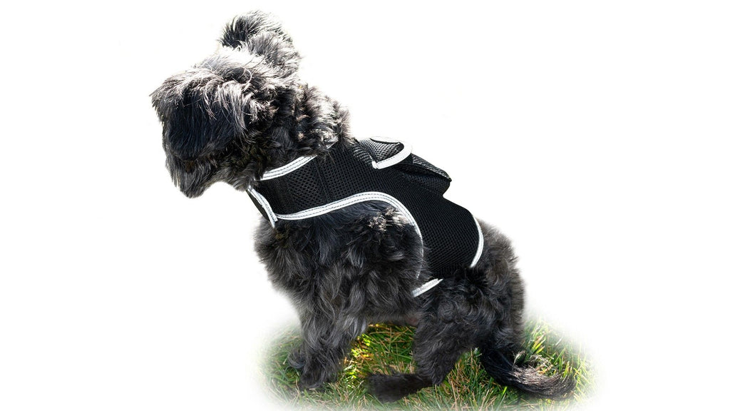 Mini GPS Dog Tracking Device GSM GPRS Pet Location Finder Portable NEW Size:L