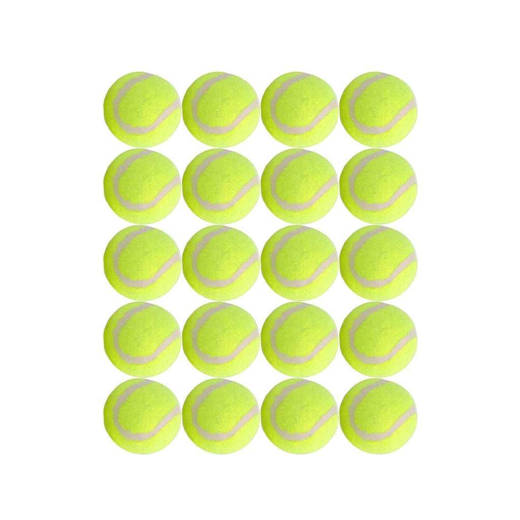 Dog Tennis Balls 20 Pack Pet Tennis Ball for Small Dogs Premium Fetch Toy Non-Toxic Non-Abrasive Material