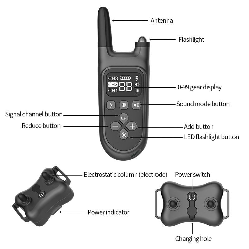554245901